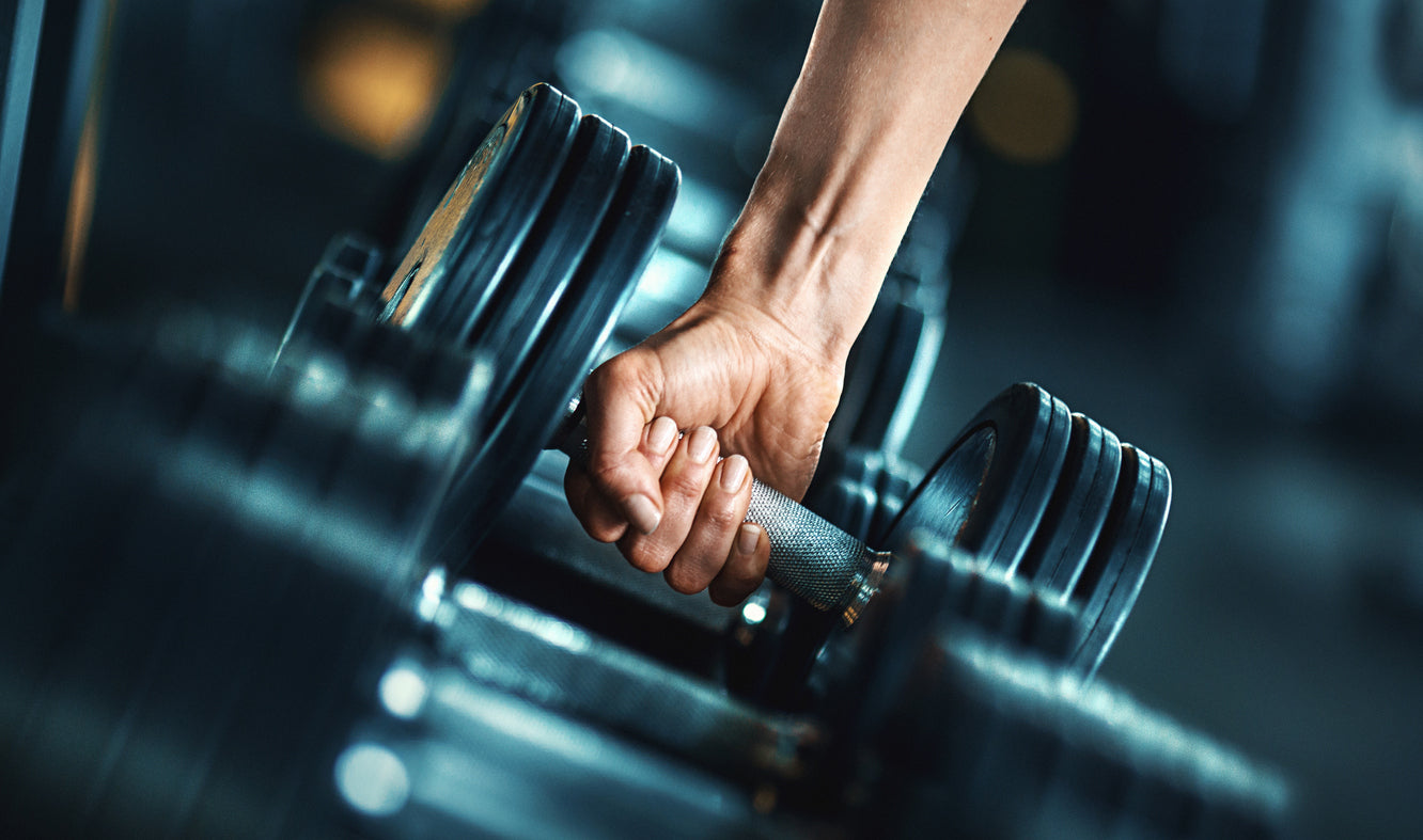 Treino Com Halteres Para Hipertrofia Localizada
