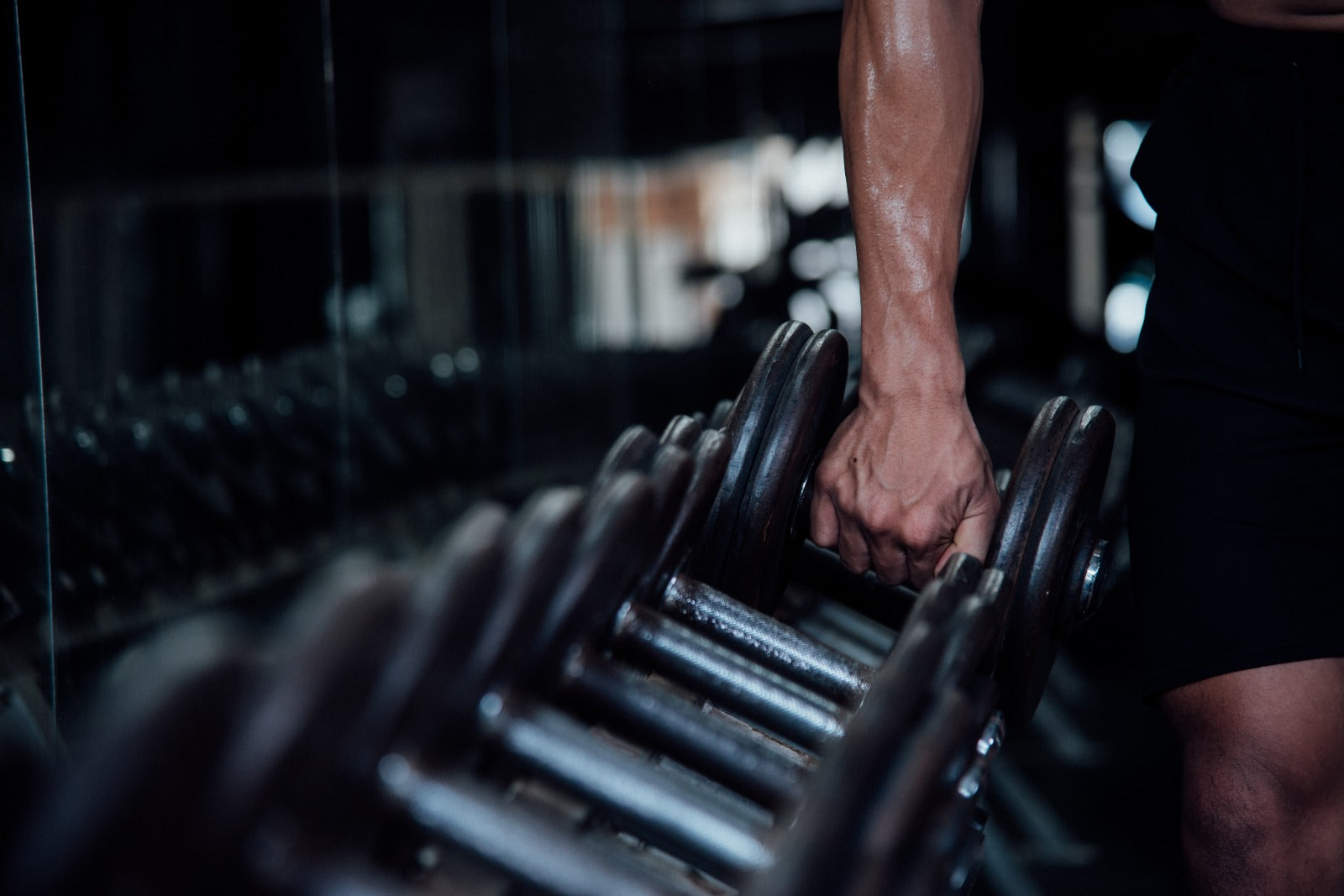 equipamentos para musculacao
