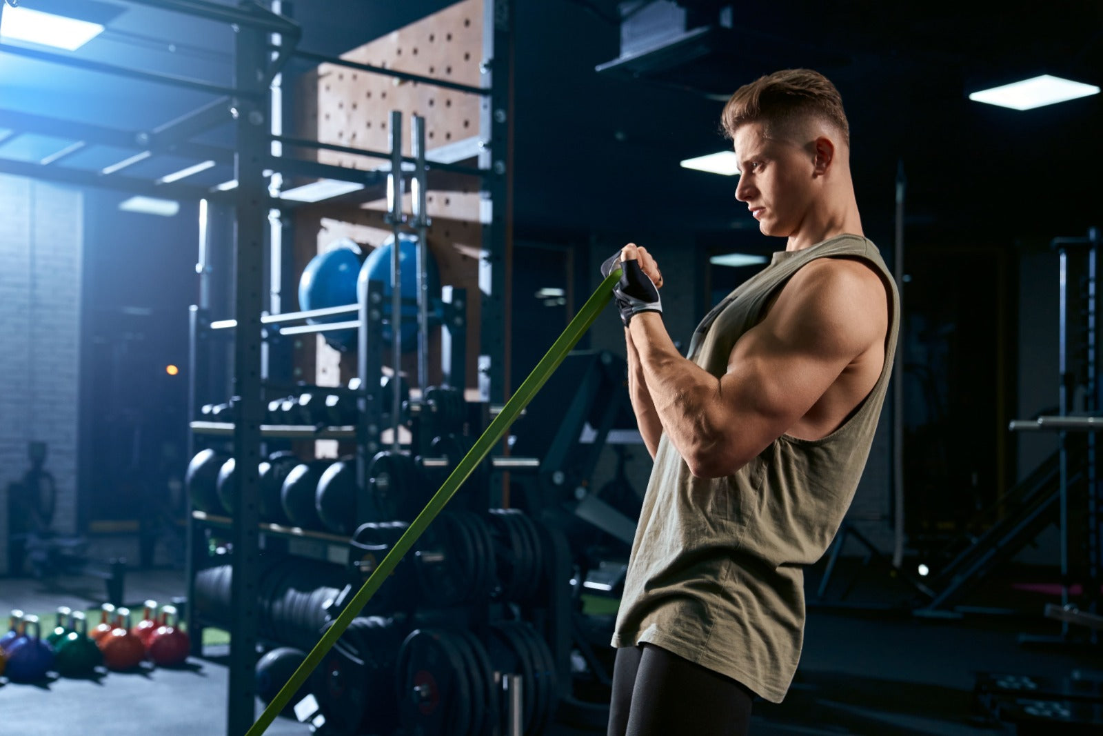 treino musculacao iniciante