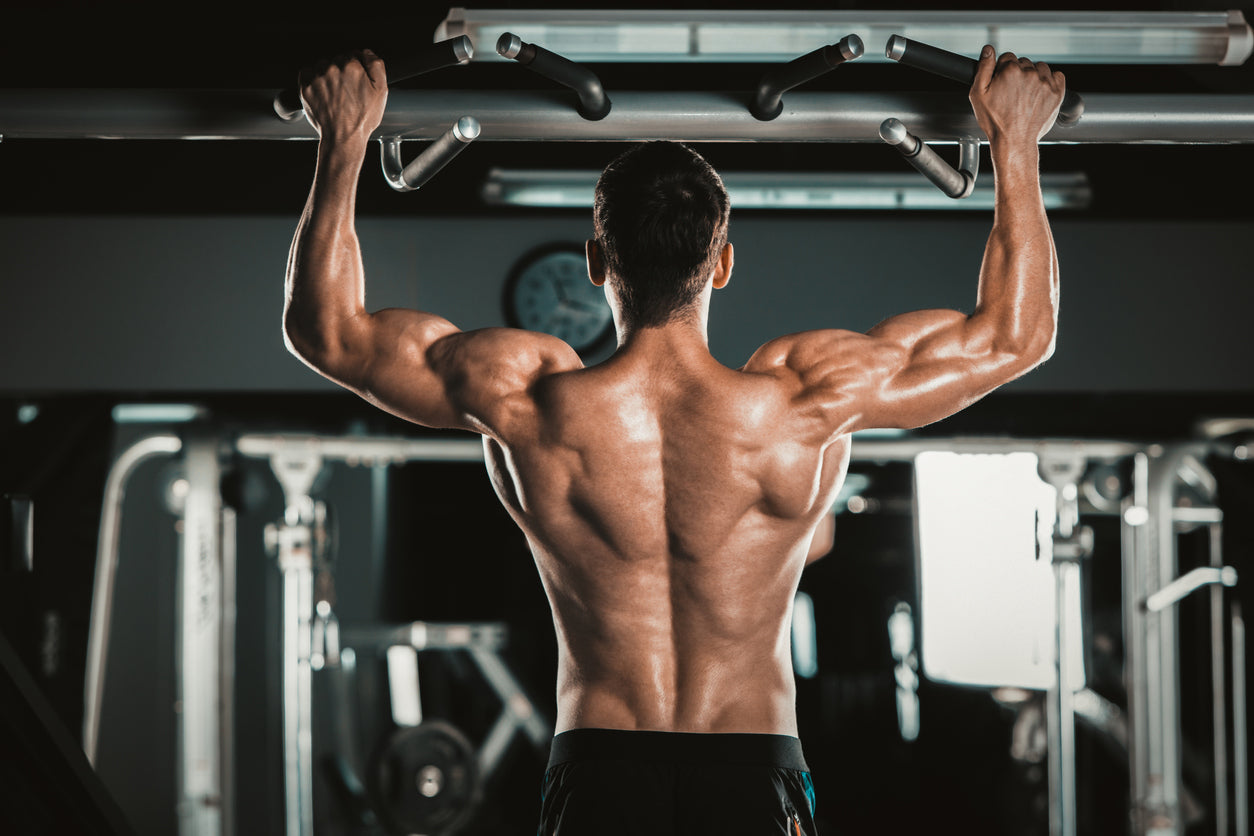 Ganhar Massa Muscular E Perder Gordura Ao Mesmo Tempo