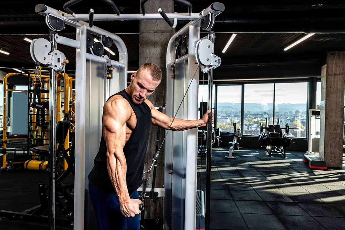 Periodização E Como Aplicá-La No Treino De Musculação