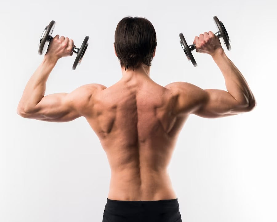 Musculação para ombros