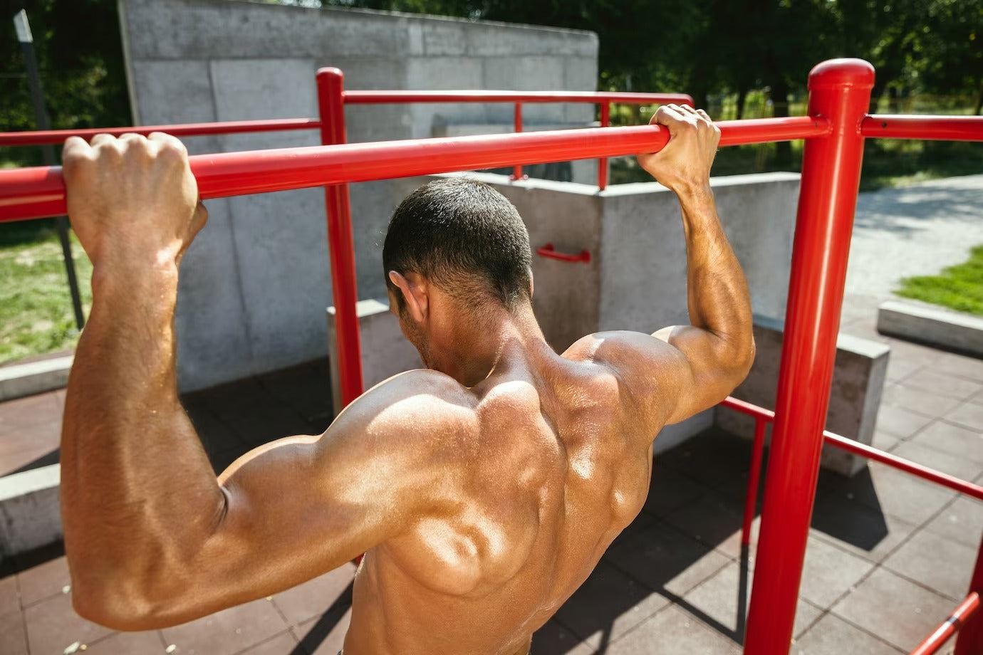 exercicios de musculação