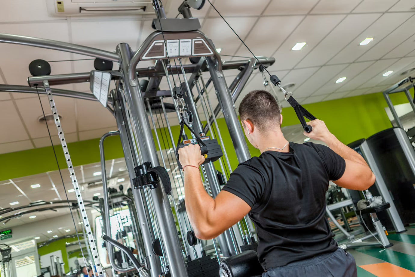 Treino de Musculação