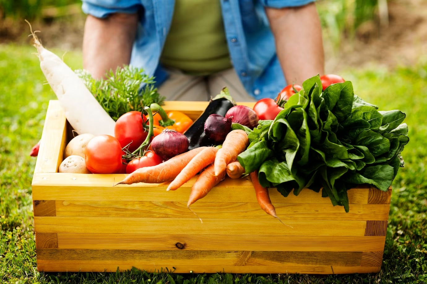 Alimentos orgânicos