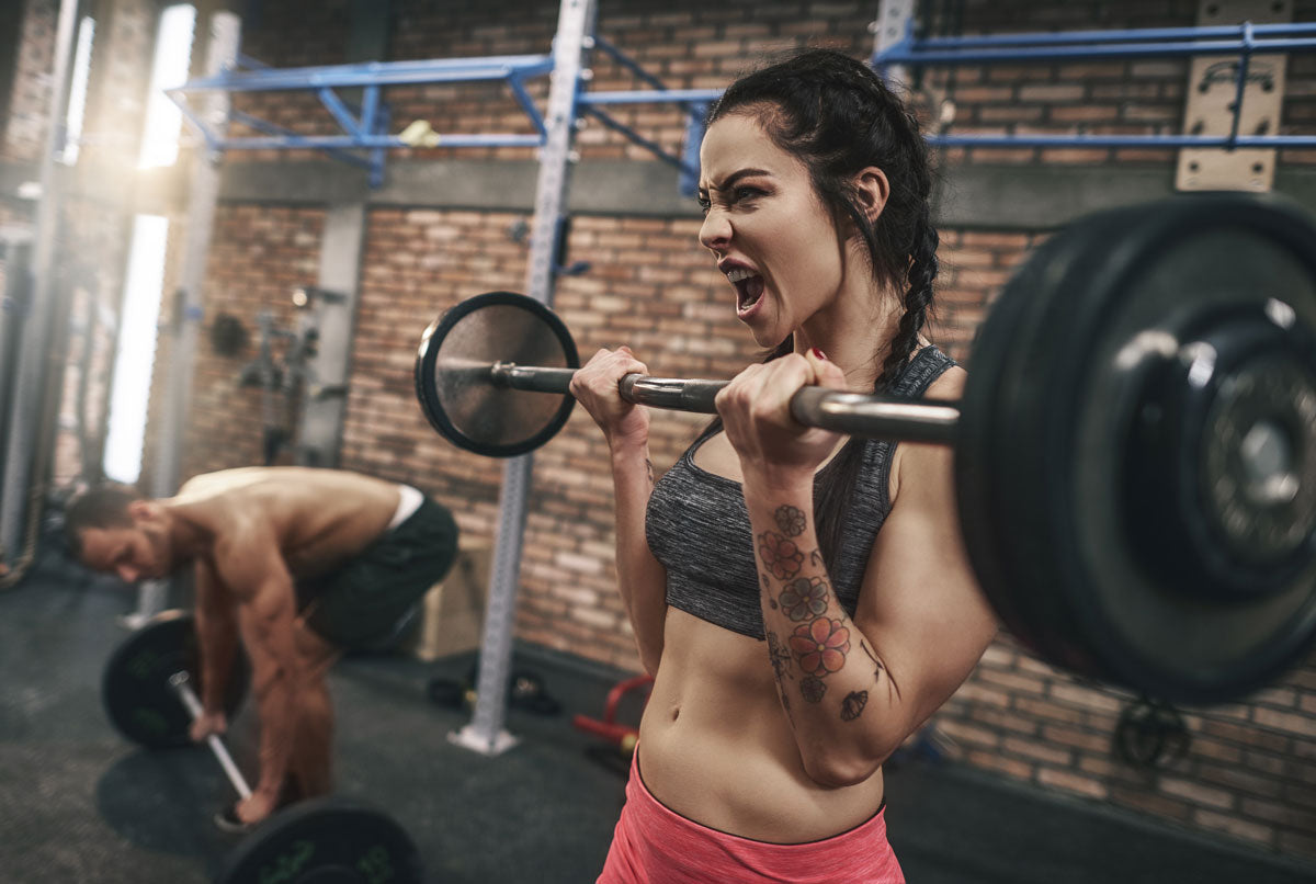 Treino de Musculação para Iniciantes: Guia Completo para Mulheres