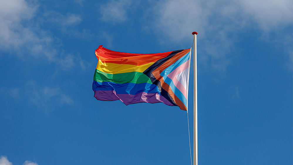 Você sabe por que junho se tornou o mês do orgulho LGBTQIA+?