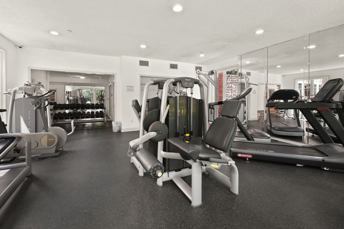 Cardio Ou Musculação Para Definição: O Que Escolher?