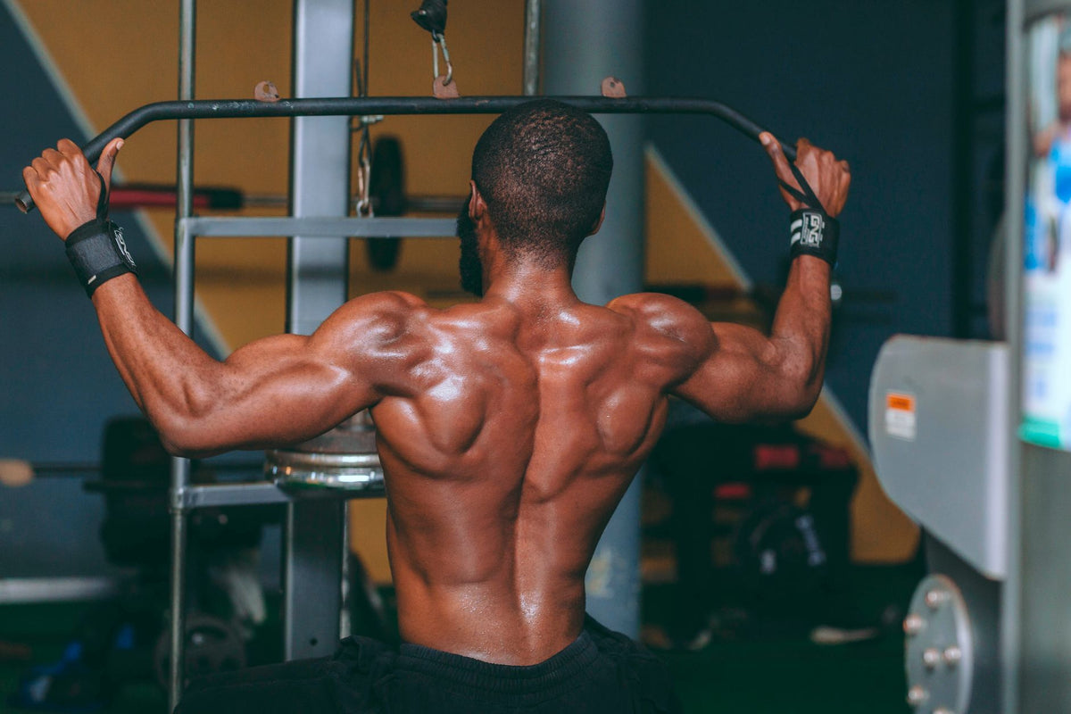 Como Fazer o Treino de Costas Para Resultados Rápidos