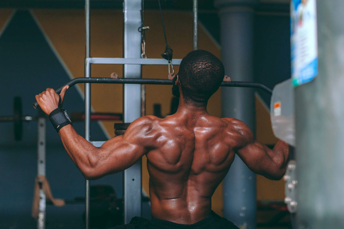 Como Fazer o Treino de Costas Para Resultados Rápidos
