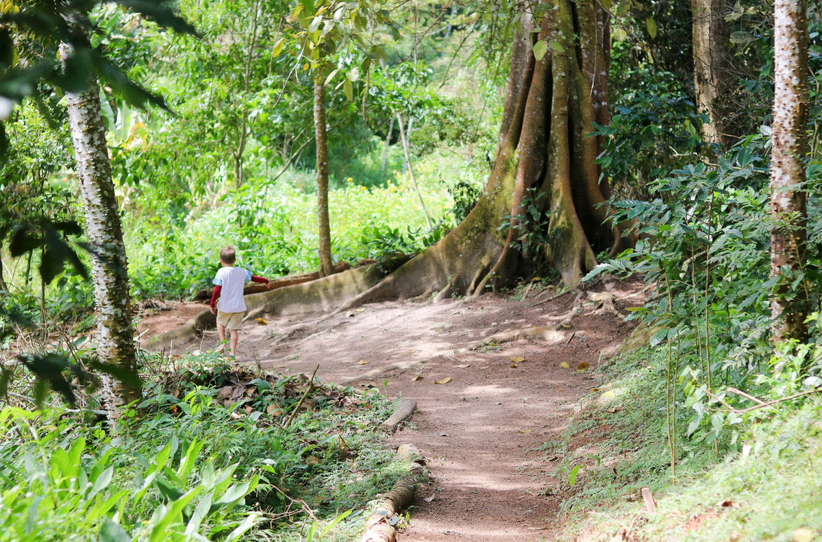Maximize Suas Caminhadas com a Sapatilha Fiber Training: O Tênis de Trilha Ideal para Todo Aventureiro