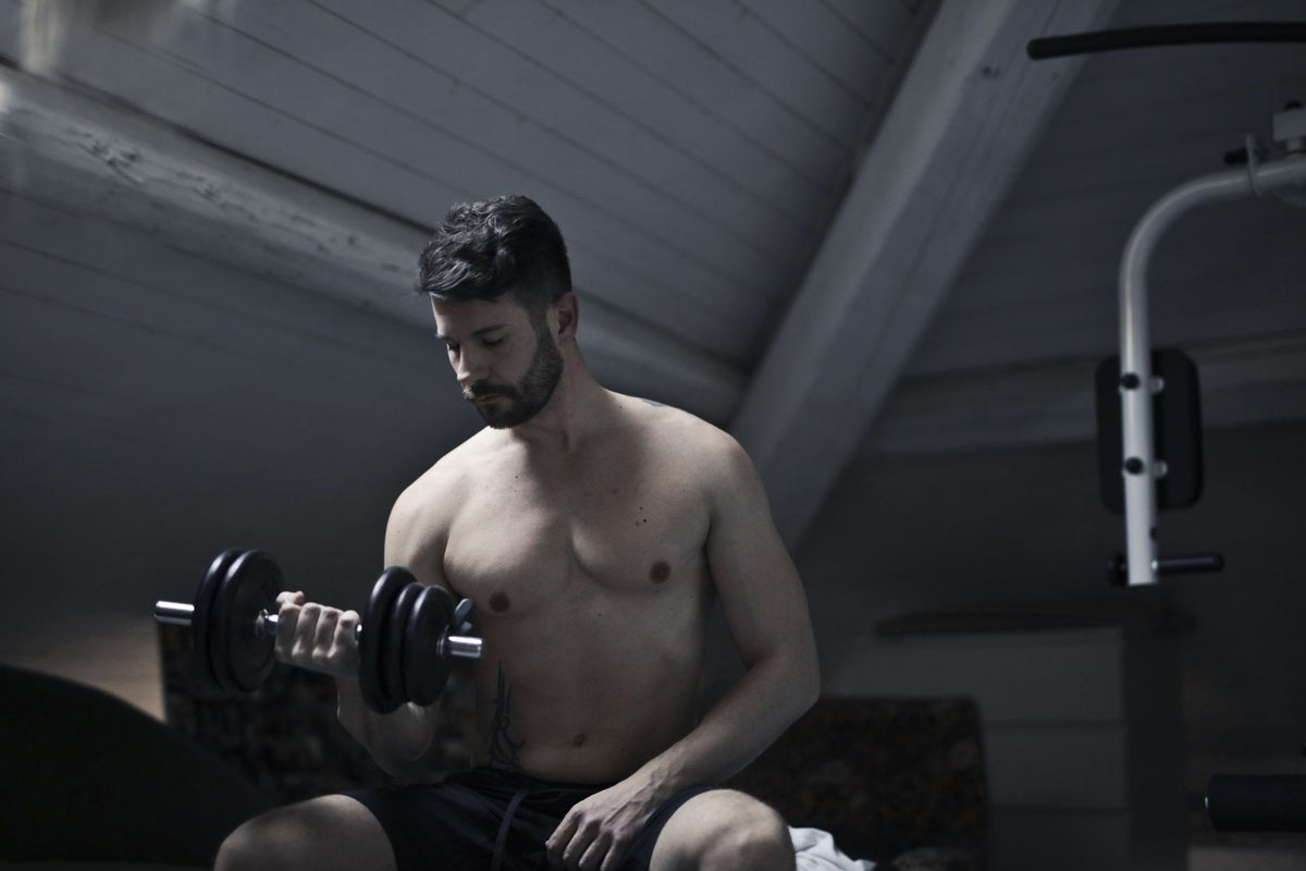 Kit Musculação: Guia Completo para Montar seu Conjunto de Treino em Casa