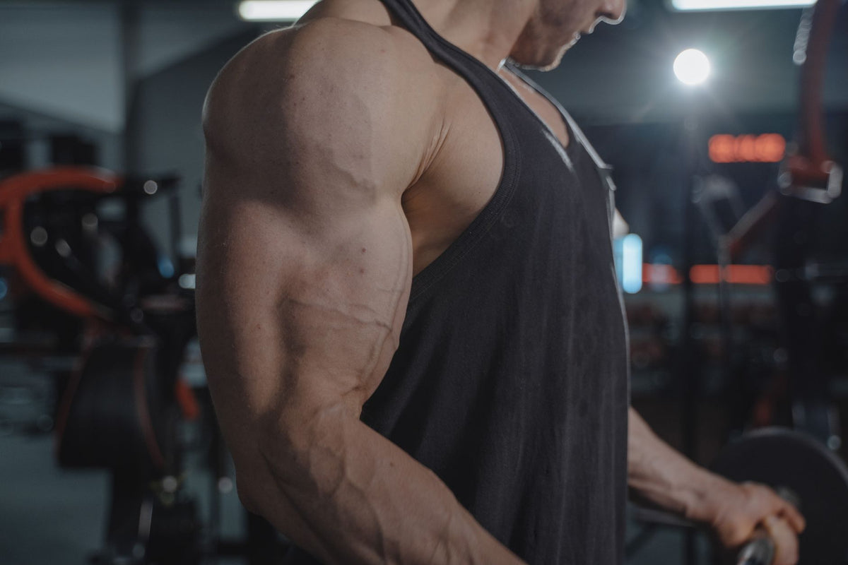 Como Fazer o Treino de Tríceps Para Resultados Rápidos