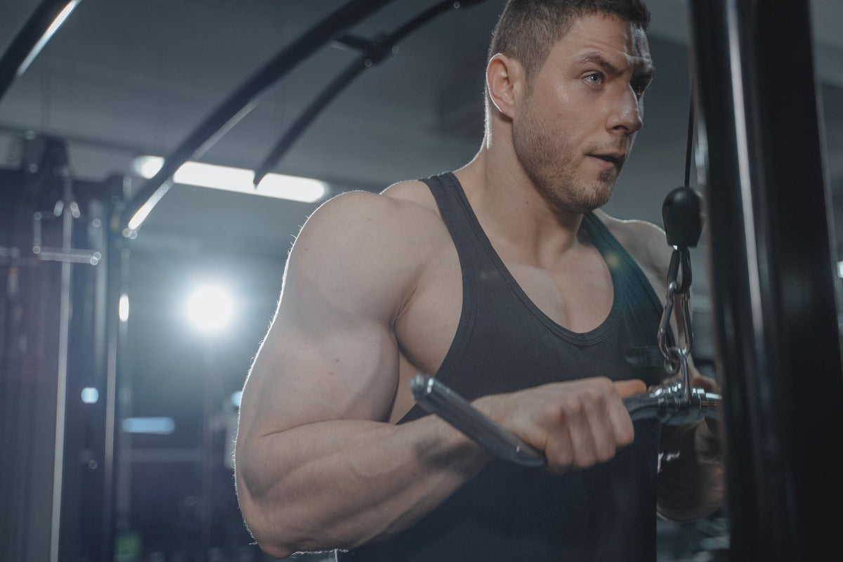 Alimentação Ideal Para Hipertrofia Muscular: Dicas Essenciais