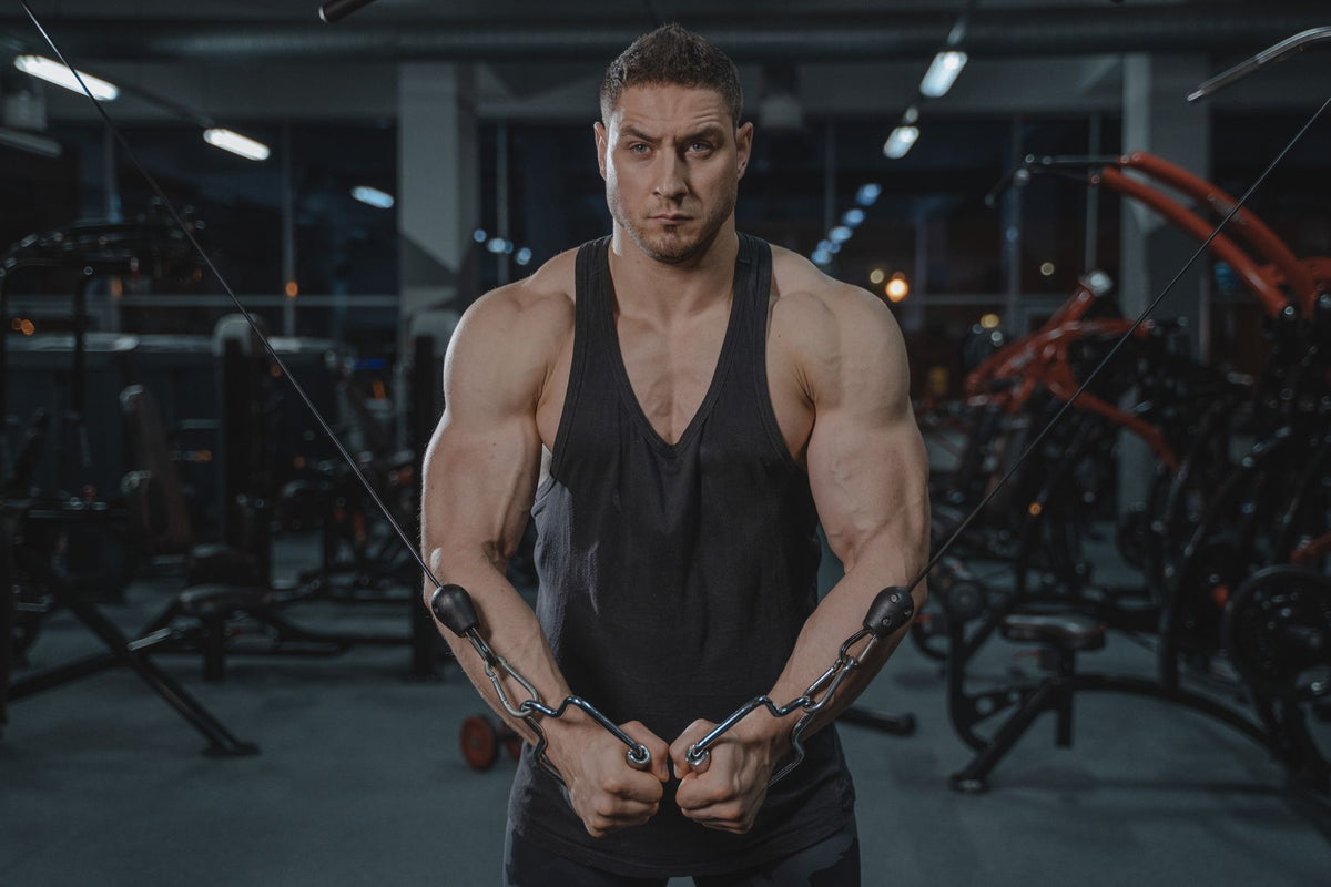 Fortalecendo seus Braços: Guia Prático de Treino de Musculação para Braços