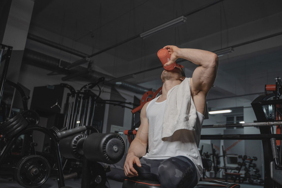 Importância Da Alimentação Pós-Treino Para Resultados