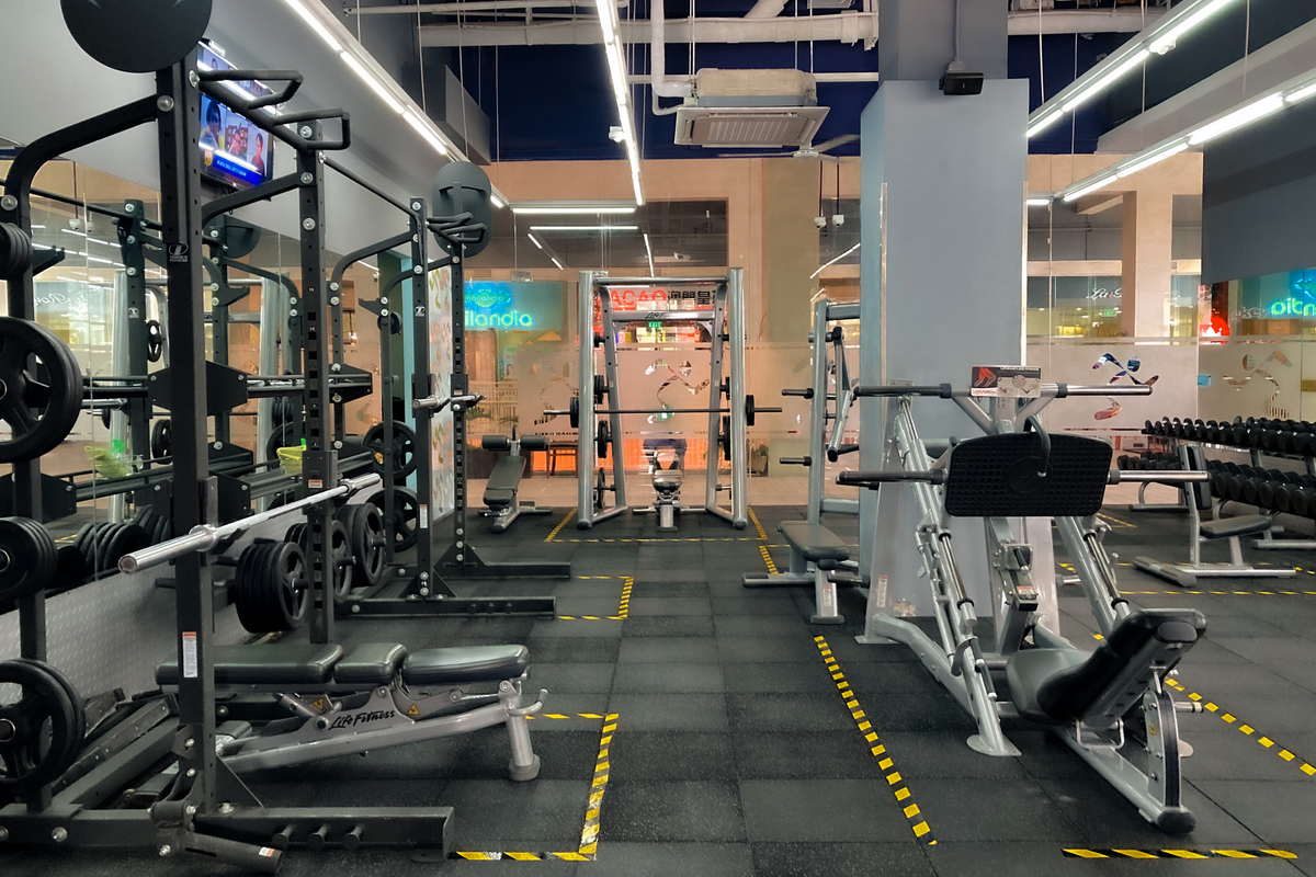Musculação e Saúde: O Guia Completo para uma Vida Ativa e Saudável - Benefícios, Exercícios e Dicas Práticas