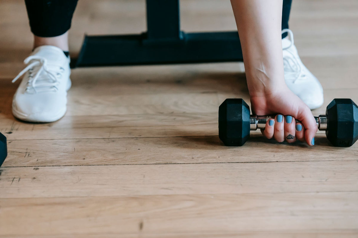 Descubra o Universo do Treino de Força para Iniciantes