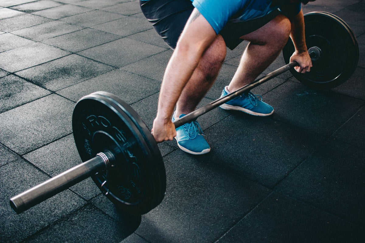 Transforme Seu Corpo: Guia de Musculação para Perda de Gordura
