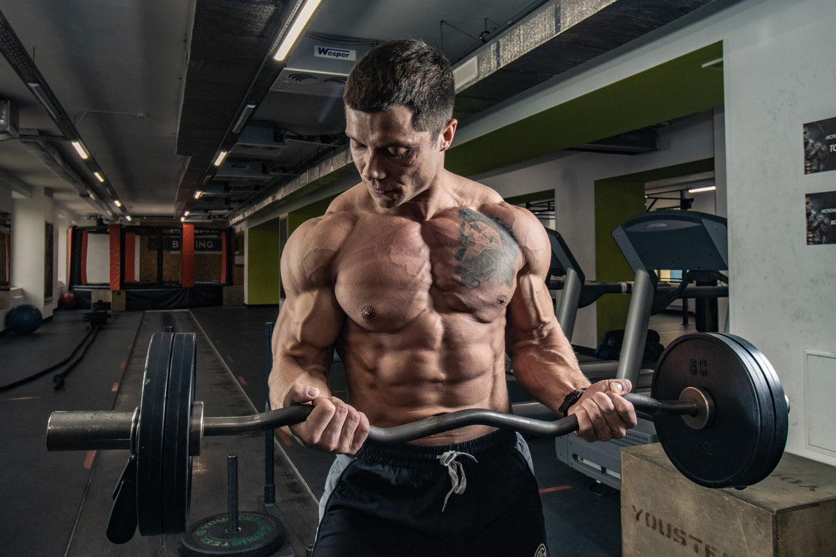Dieta para Musculação: Estratégias de Otimização para Resultados Eficientes